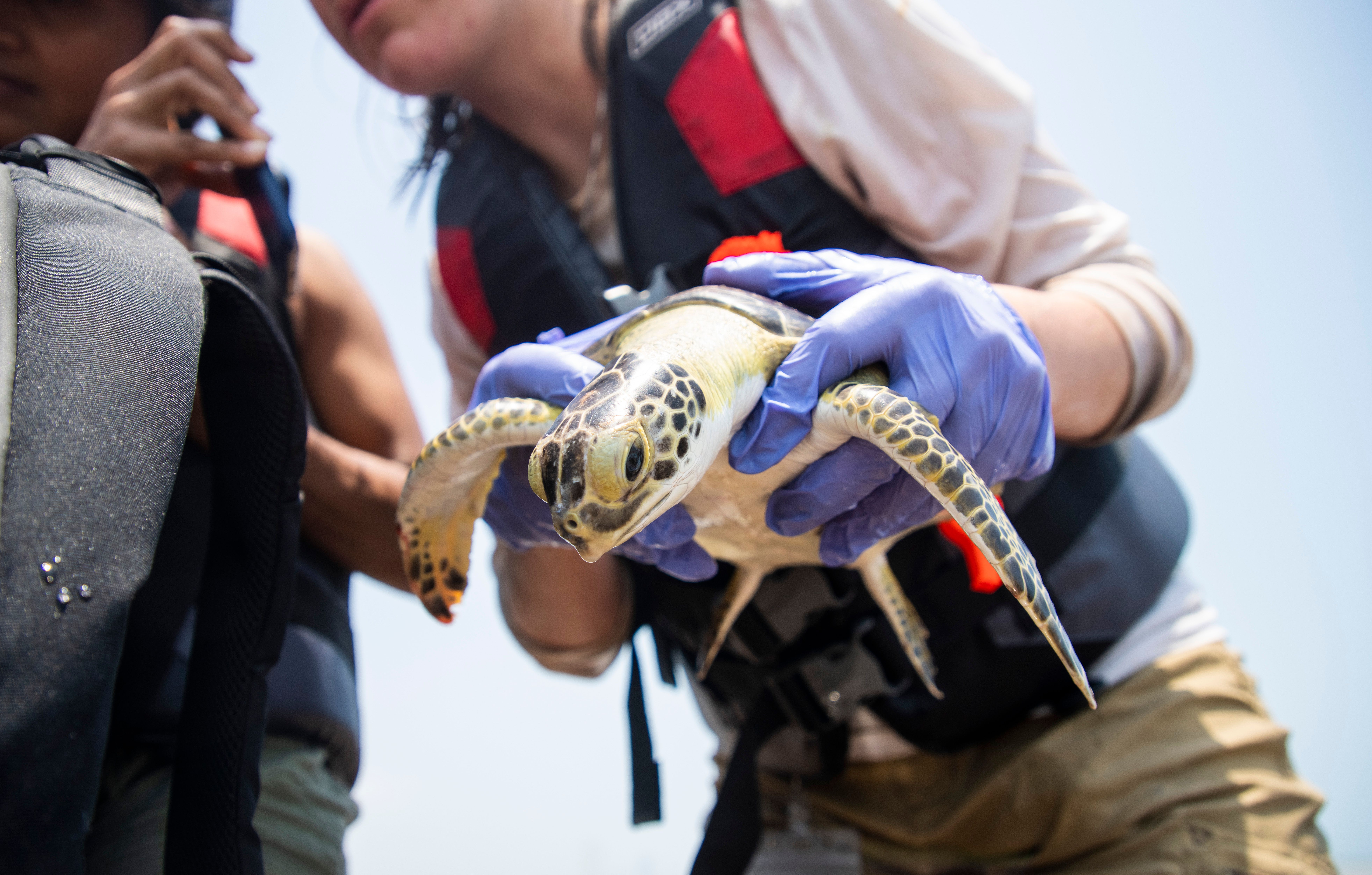 Trump to slash red tape on commercial launches, spaceports